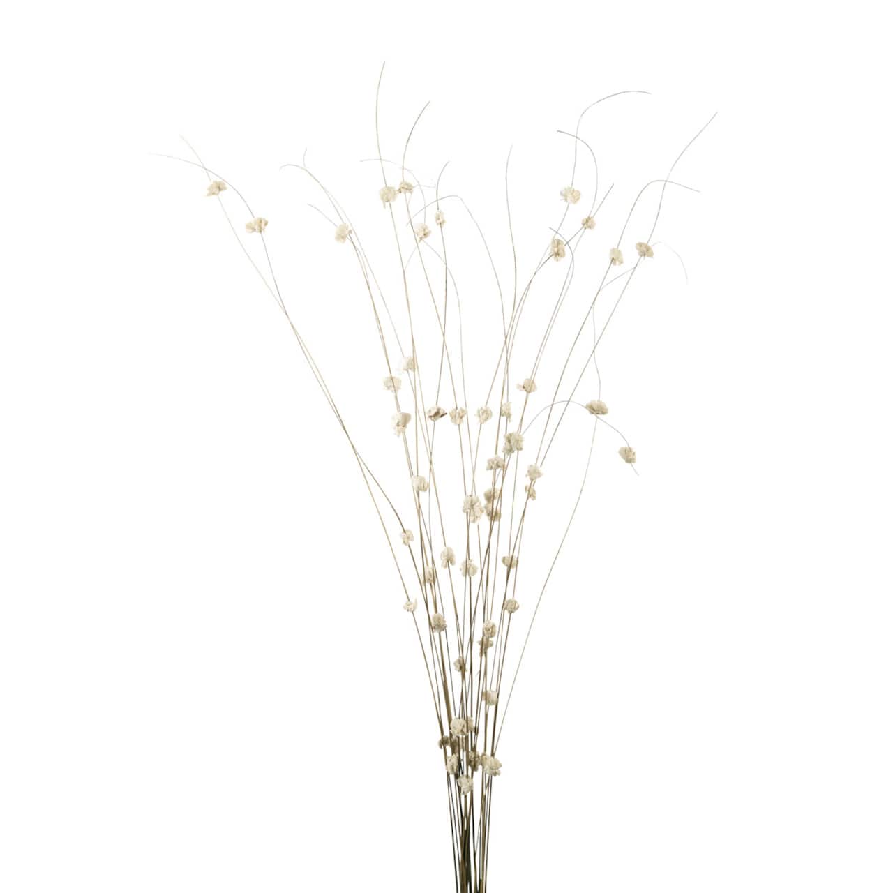 8 Pack: Natural Ting Branches with Sola Flowers by Ashland®